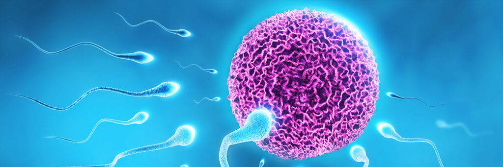 yumurta ve sperm bağışı